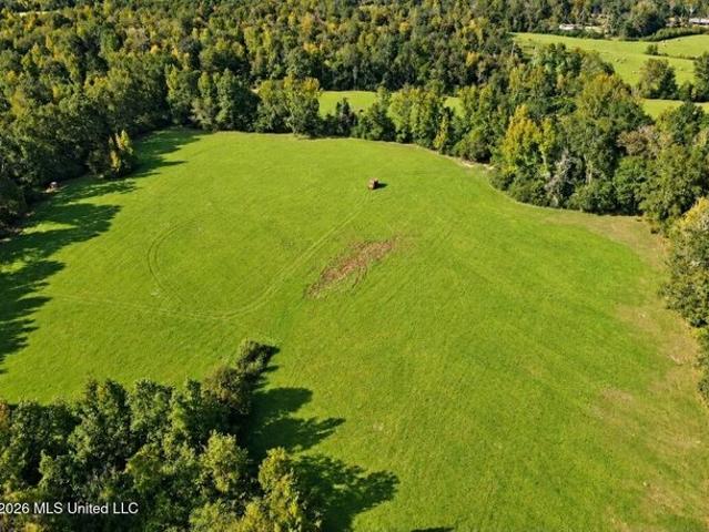 Land for sale in Bogue Chitto, Mississippi