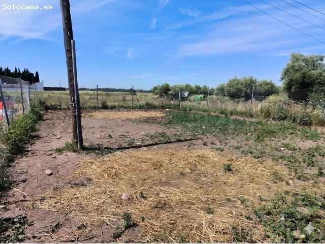 Local Comercial en venta en Villanueva Del Río Y Minas, Andalucía