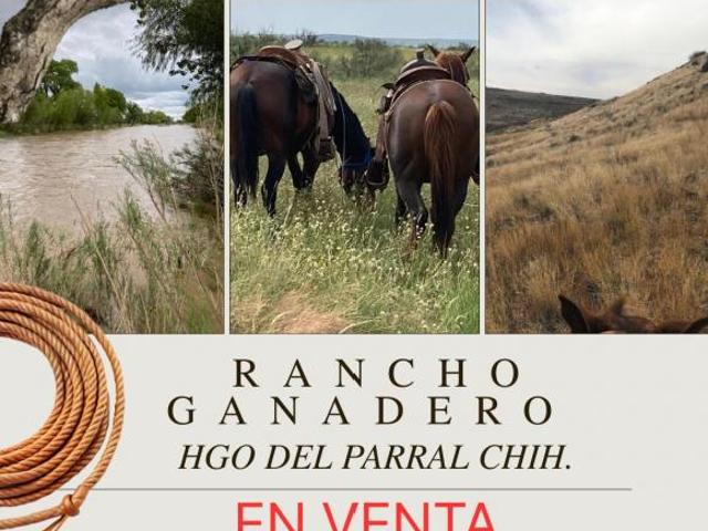 Rancho en venta en Allende, Chihuahua