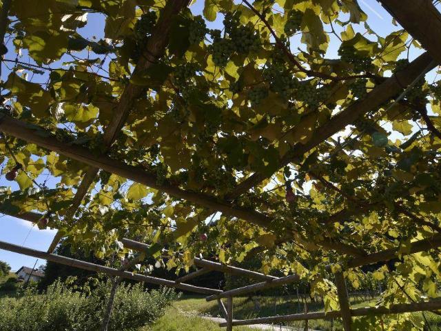 Haus kaufen in Bad Waltersdorf, Steiermark