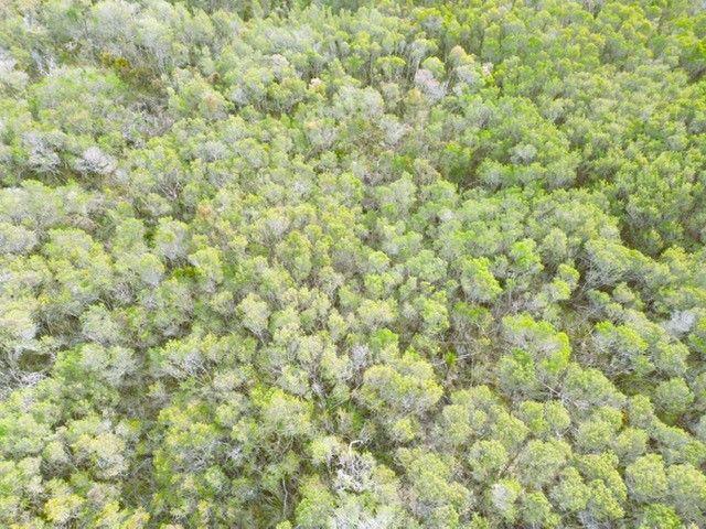 Land for sale in French Island, Victoria