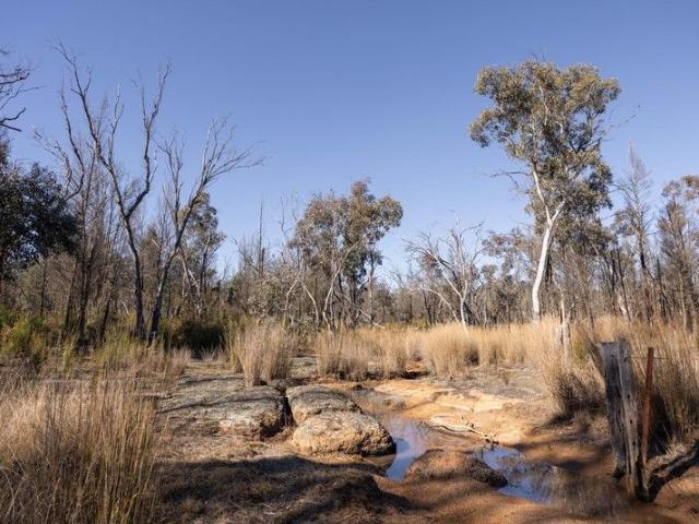 Land for sale in Cope, New South Wales