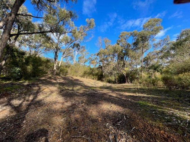 Cottage for sale in Eildon, Victoria