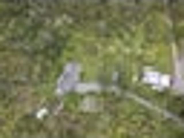 House for sale in Kawau Island