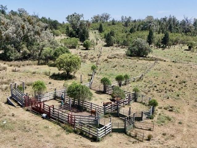 Cottage for sale in Bingara, New South Wales