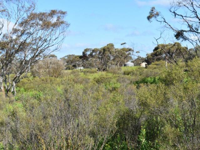 Cottage for sale in Sedan, South Australia
