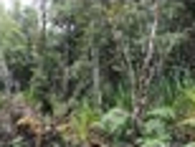 Land for sale in West Coast