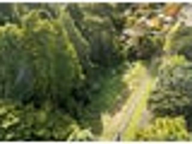 Land for sale in Wairau Valley