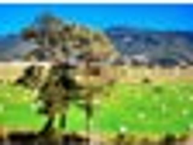Land for sale in Dobson, West Coast