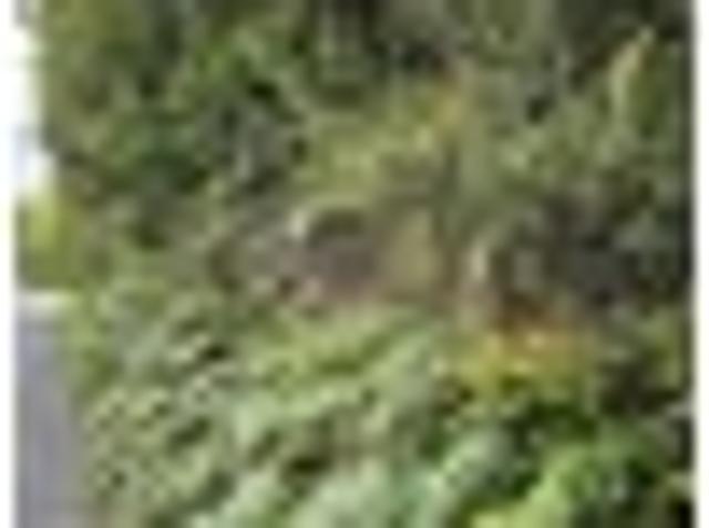 Land for sale in Oban, Southland