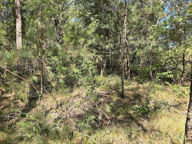Property for sale in Woollamia, New South Wales