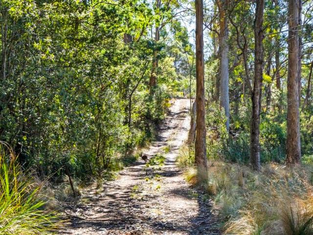 Land for sale in Orford, Tasmania