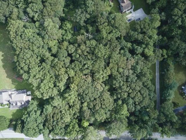 Land for sale in Essex