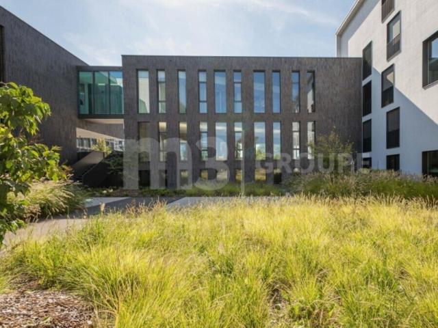Büro mieten in Meyrin