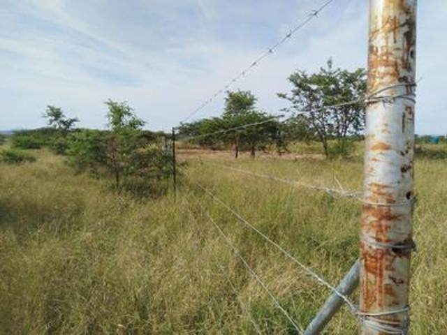 Land for sale in Louis Trichardt, Makhado Local Municipality