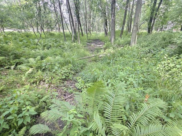 Land for sale in Shawano, Wisconsin