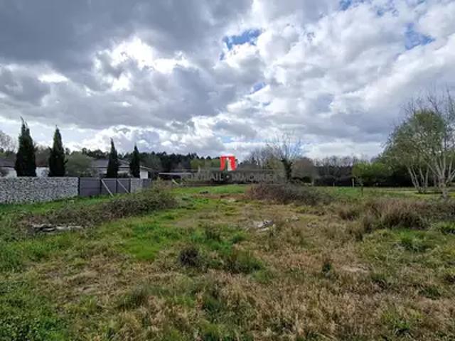 Terrain vente à Jonzac, Bussac-forêt