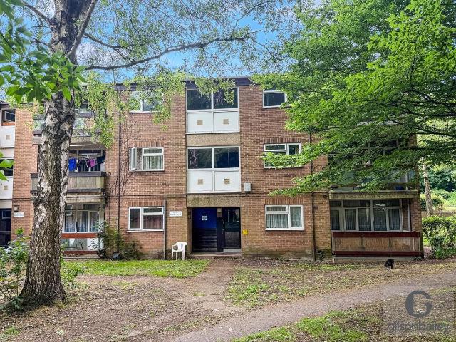 Apartment for rent in New Catton, East Bank