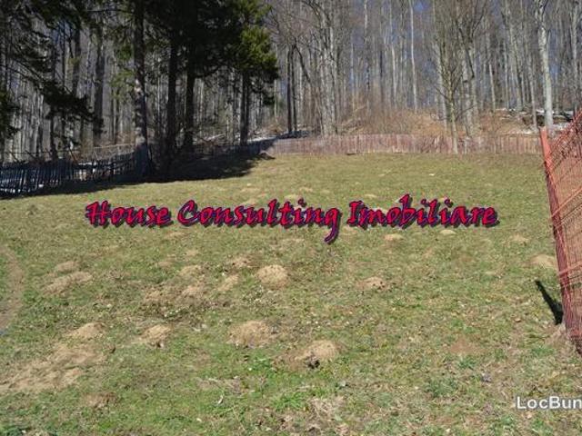 Teren vânzări în Busteni, Prahova