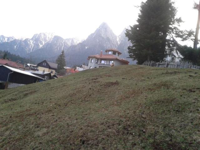 Teren vânzări în Busteni, Prahova