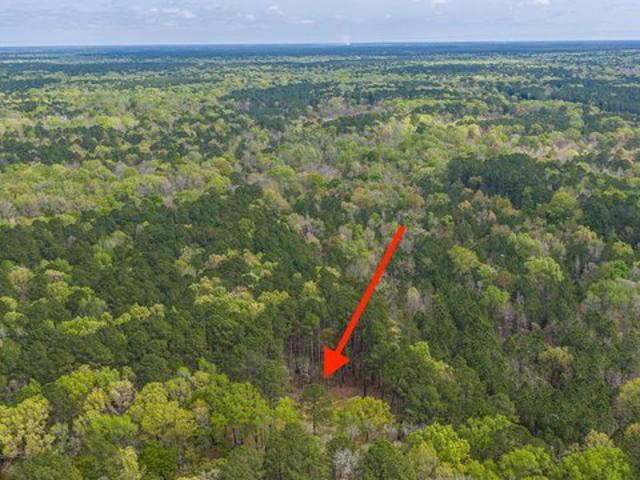 Land for sale in Cordesville, South Carolina