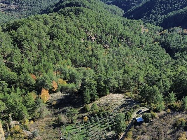 Kumluca, Antalya içerisinde satılık Arsa