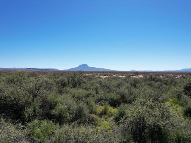 Farm for sale in Brewster, Texas