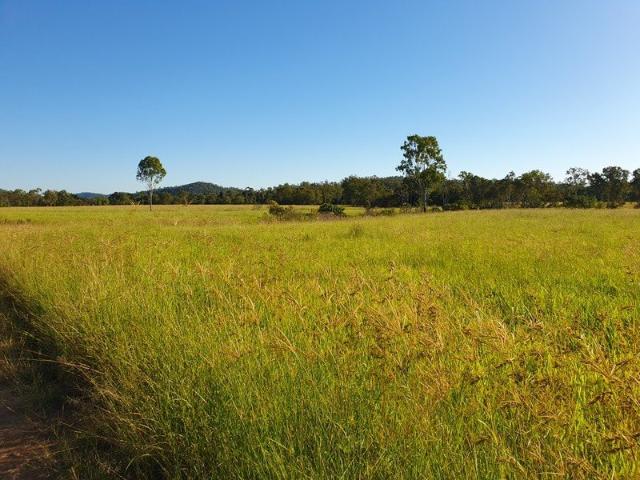 Cottage for sale in Mount Ossa, Queensland