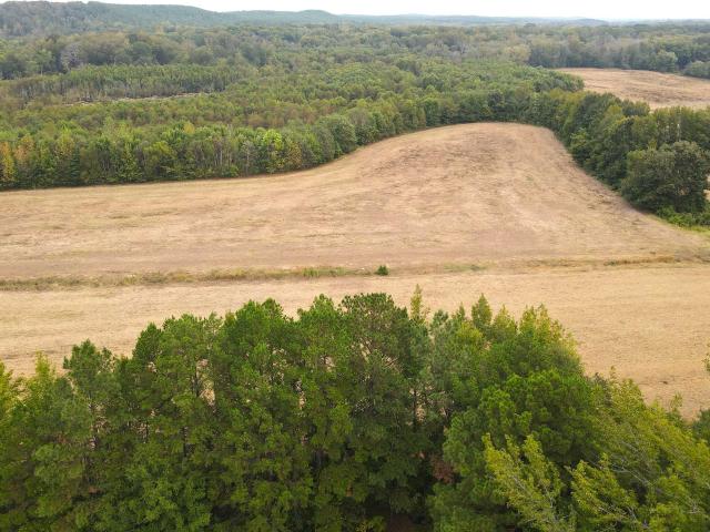 Land for sale in Tennessee
