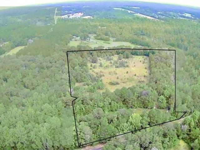 Land for sale in Neeses
