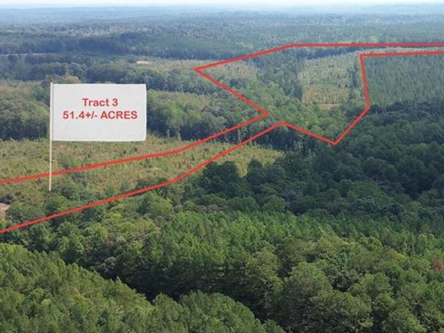 Land for sale in Franklin, Heard County