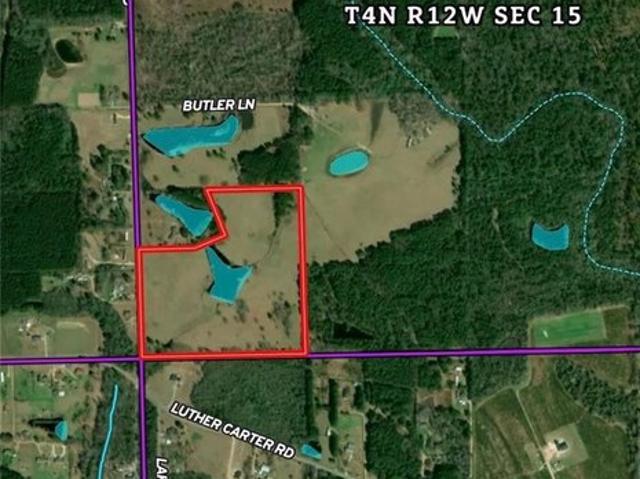 Land for sale in Petal, Mississippi