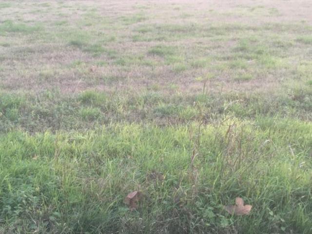 Terreno in vendita a Buttapietra, Veneto
