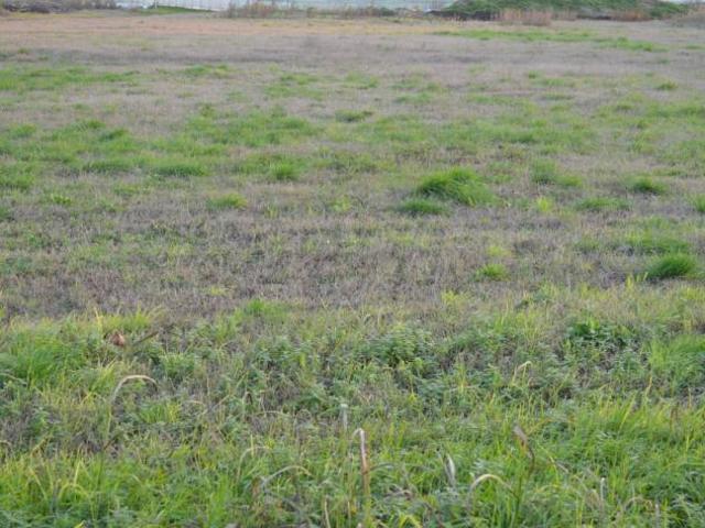 Terreno in vendita a Buttapietra, Veneto