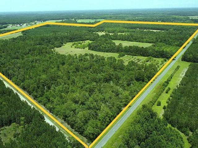 Land for sale in Ehrhardt