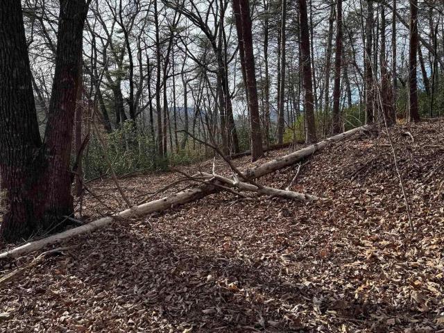 Land for sale in Landrum, South Carolina
