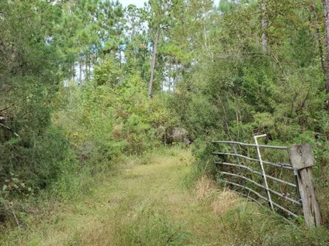Land for sale in Marianna
