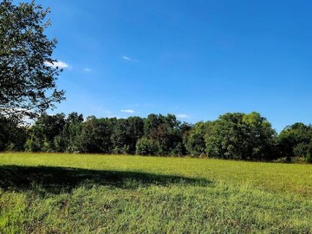 Land for sale in Decatur, East Tennessee