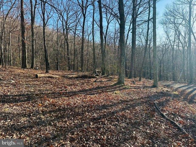 Land for sale in Slanesville, West Virginia