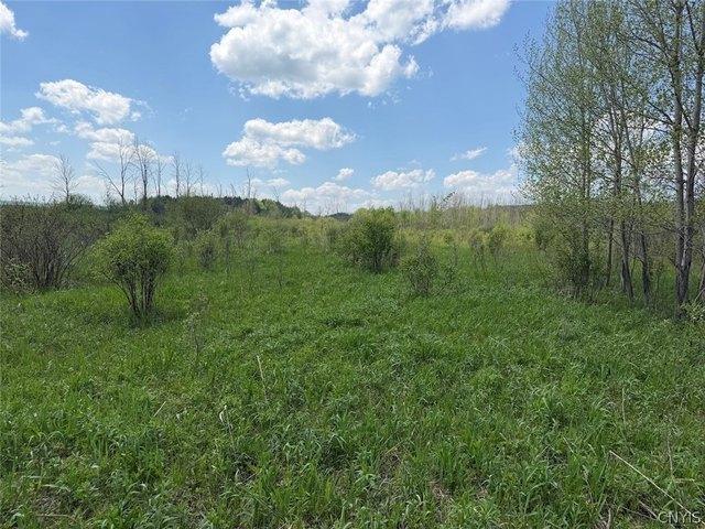 Land for sale in Dayton, New York