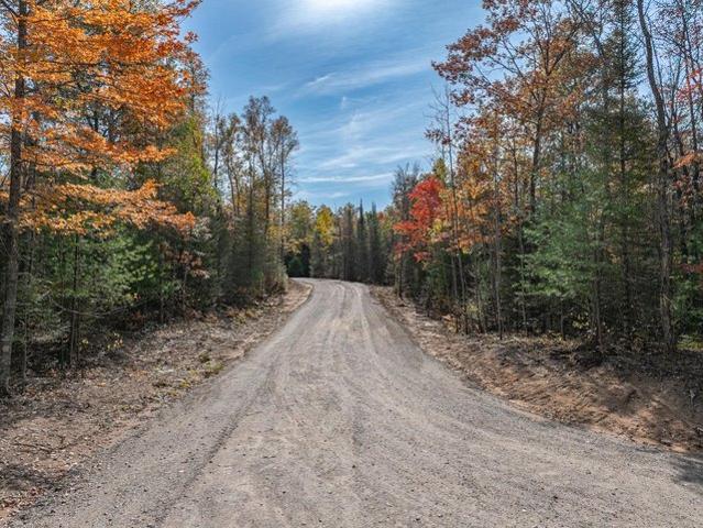 Land for sale in Vilas, Wisconsin