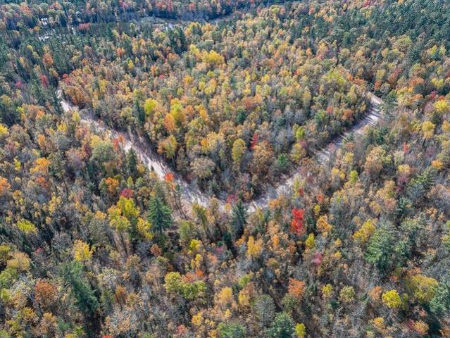 Land for sale in Vilas, Wisconsin