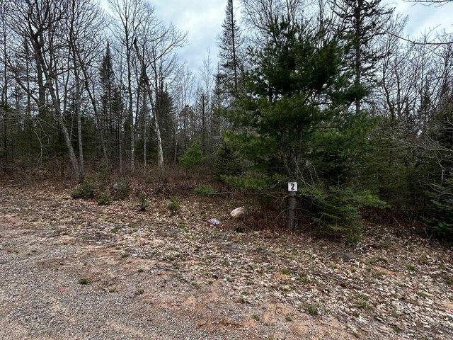 Land for sale in Vilas, Wisconsin