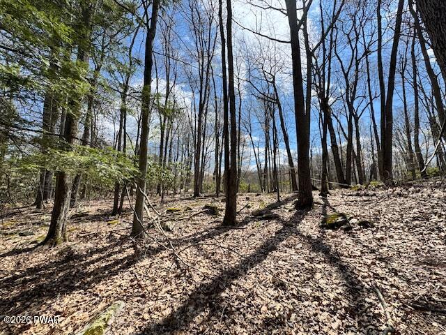 Land for sale in Greentown, Pennsylvania