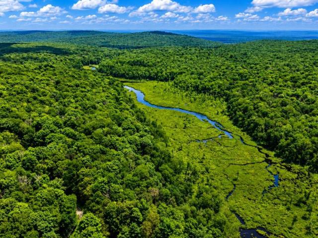 Land for sale in Canadensis, Pennsylvania