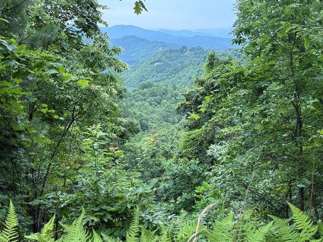 Land for sale in Bryson City, Swain County