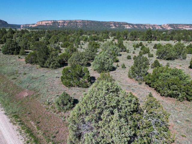 Land for sale in Ramah, New Mexico
