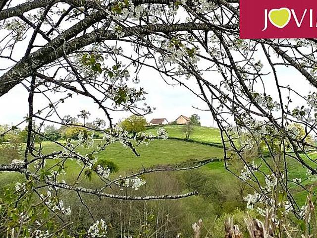 Maison vente à Buxières-sous-montaigut