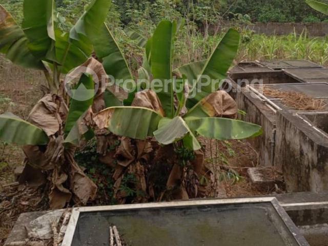 Property for sale in Ogun