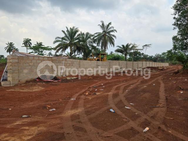 Property for sale in Aniocha North, Delta